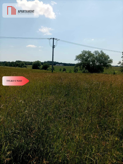Sprzedaż praw do 2 działek ROD Łobżenica - Łobżenica  -
Wielkopolskie Zdjęcie nr 5