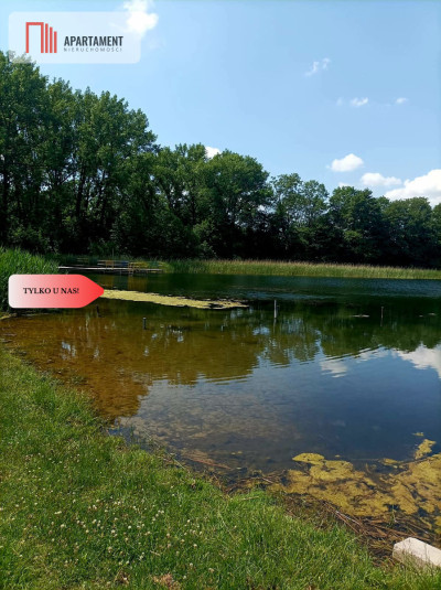 Sprzedaż praw do 2 działek ROD Łobżenica - Łobżenica  -
Wielkopolskie Zdjęcie nr 6