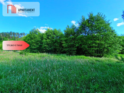 Tylko u Nas Działka przy Wdzie w Borach Tucholski - powiat świecki  -
Kujawsko-Pomorskie Zdjęcie nr 6