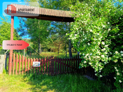 Tylko u Nas Działka przy Wdzie w Borach Tucholski - powiat świecki  -
Kujawsko-Pomorskie Zdjęcie nr 7