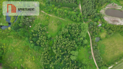 Działka inwestycyjna - Trzepowo  -
Pomorskie Zdjęcie nr 3