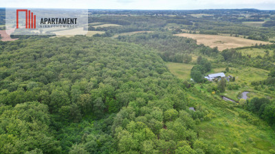 Działka inwestycyjna - Trzepowo  -
Pomorskie Zdjęcie nr 8