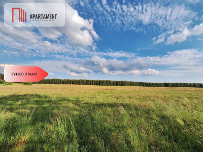 Działka budowlana w okazyjnej cenie Blisko Piły - Plecemin  -
Wielkopolskie Zdjęcie nr 4