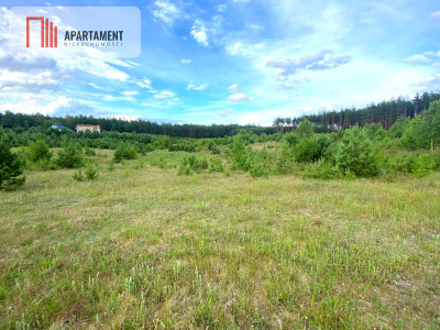 Tylko u nas Wyjątkowa działka-bliskość natury - Nowa Kiszewa  -
Pomorskie Zdjęcie nr 2