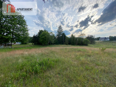 Ciesz się spokojem i pięknem natury - Nowa Kiszewa  - Pomorskie