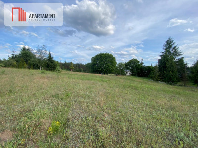 Ciesz się spokojem i pięknem natury - Nowa Kiszewa  -
Pomorskie Zdjęcie nr 4