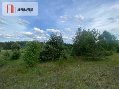 Urokliwa Działka na sprzedaż- Twoje Miejsce na Dom - Nowa Kiszewa  -
Pomorskie Zdjęcie nr 2