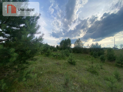 Urokliwa Działka na sprzedaż- Twoje Miejsce na Dom - Nowa Kiszewa  -
Pomorskie Zdjęcie nr 7