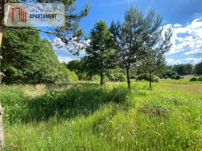 Atrakcyjna Działka Rolna w Nowej Kiszewie - Nowa Kiszewa  -
Pomorskie Zdjęcie nr 2