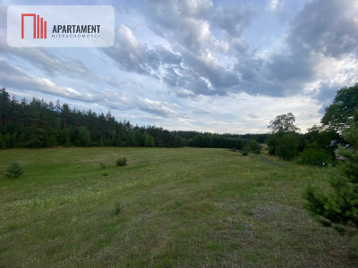 Atrakcyjna Działka Rolna w Nowej Kiszewie - Nowa Kiszewa  -
Pomorskie Zdjęcie nr 4