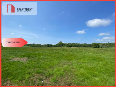 Tylko u Nas Wyjątkowa Działka przy Rzece Dziwnej - Jarzębowo  -
Zachodniopomorskie Zdjęcie nr 2