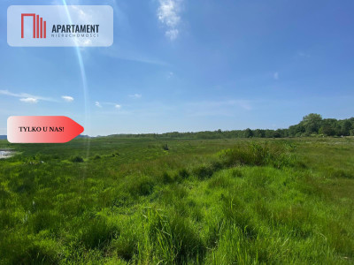 Tylko u Nas Wyjątkowa Działka przy Rzece Dziwnej - Jarzębowo  -
Zachodniopomorskie Zdjęcie nr 3