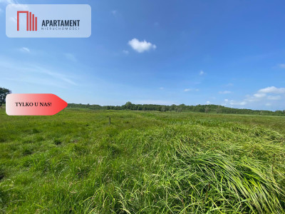 Tylko u Nas Wyjątkowa Działka przy Rzece Dziwnej - Jarzębowo  -
Zachodniopomorskie Zdjęcie nr 4