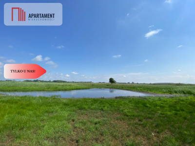 Tylko u Nas Wyjątkowa Działka przy Rzece Dziwnej - Jarzębowo  -
Zachodniopomorskie Zdjęcie nr 5