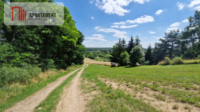 Duża działka nad jeziorem Ostrówieckim - Chomiąża Księża  -
Kujawsko-Pomorskie Zdjęcie nr 2