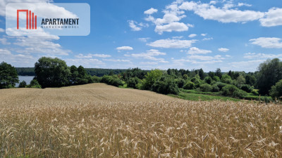 Duża działka nad jeziorem Ostrówieckim - Chomiąża Księża  -
Kujawsko-Pomorskie Zdjęcie nr 5