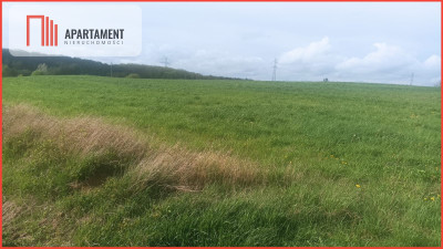 Piękna działka w okolicy jezior i lasów - Teolog  - Kujawsko-Pomorskie