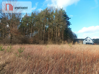 Piękna działka w okolicy jezior i lasów - Teolog  -
Kujawsko-Pomorskie Zdjęcie nr 6