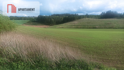 Piękna działka w pobliżu jeziora i lasy - Teolog  -
Kujawsko-Pomorskie Zdjęcie nr 4