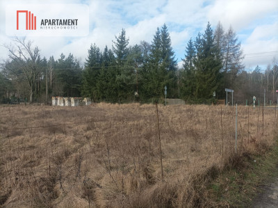 Piękna działka w pobliżu jeziora i lasy - Teolog  -
Kujawsko-Pomorskie Zdjęcie nr 5