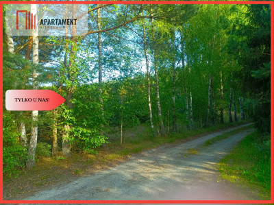 TYLKO U NAS  UTULONA CISZĄ W SERCU BORÓW - Stara Rzeka  - Kujawsko-Pomorskie