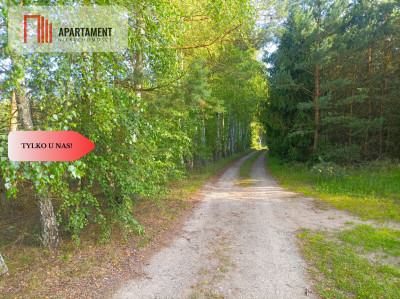 TYLKO U NAS  UTULONA CISZĄ W SERCU BORÓW - Stara Rzeka  -
Kujawsko-Pomorskie Zdjęcie nr 3