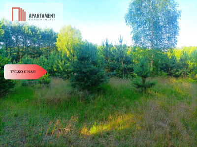 TYLKO U NAS  UTULONA CISZĄ W SERCU BORÓW - Stara Rzeka  -
Kujawsko-Pomorskie Zdjęcie nr 4