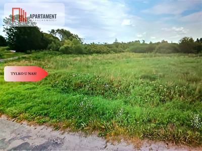 DZIAŁKA ROLNA 193ha LUDWIKOWO CISZA SPOKÓJ - Ludwikowo  - Kujawsko-Pomorskie