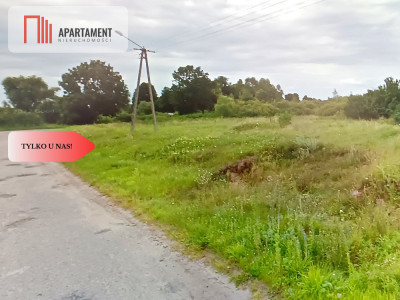 DZIAŁKA ROLNA 193ha LUDWIKOWO CISZA SPOKÓJ - Ludwikowo  -
Kujawsko-Pomorskie Zdjęcie nr 2