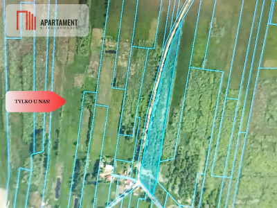 DZIAŁKA ROLNA 193ha LUDWIKOWO CISZA SPOKÓJ - Ludwikowo  -
Kujawsko-Pomorskie Zdjęcie nr 3