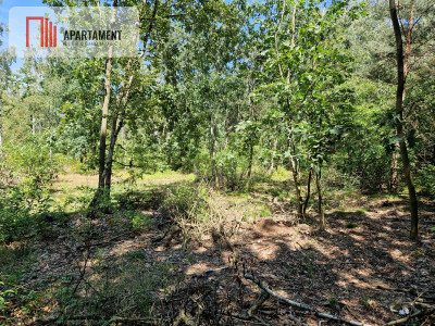 Działki blisko jeziora i plaży - Borzątew  -
Wielkopolskie Zdjęcie nr 9