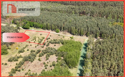 Działka w środku lasu - Strzelczyki  - Wielkopolskie