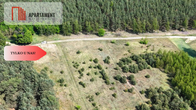 Działka w środku lasu - Strzelczyki  -
Wielkopolskie Zdjęcie nr 4