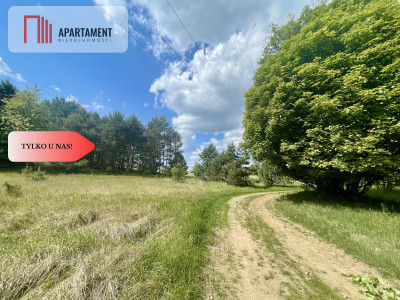 Działka w środku lasu - Strzelczyki  -
Wielkopolskie Zdjęcie nr 5