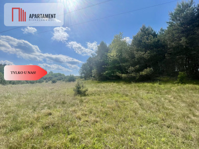 Działka w środku lasu - Strzelczyki  -
Wielkopolskie Zdjęcie nr 6