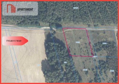 Działka w środku lasu - Strzelczyki  -
Wielkopolskie Zdjęcie nr 7