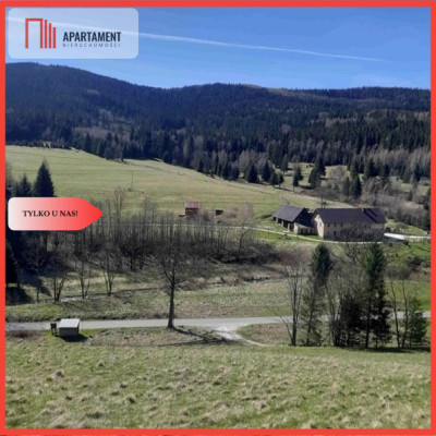 Tylko u nas GóryPiękny widok działki 2000mkw - Nowy Gierałtów  - Dolnośląskie