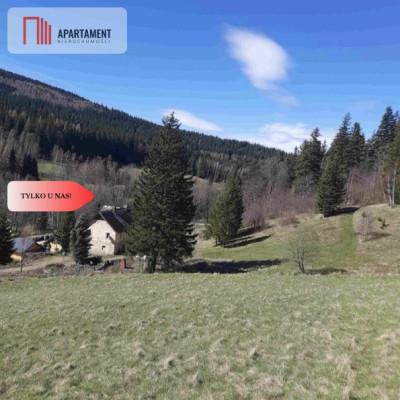 Tylko u nas GóryPiękny widok działki 2000mkw - Nowy Gierałtów  -
Dolnośląskie Zdjęcie nr 2