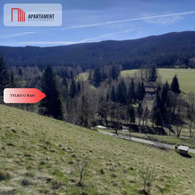 Tylko u nas GóryPiękny widok działki 2000mkw - Nowy Gierałtów  -
Dolnośląskie Zdjęcie nr 3