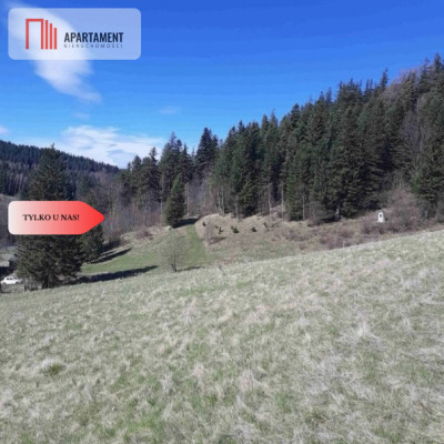 Tylko u nas GóryPiękny widok działki 2000mkw - Nowy Gierałtów  -
Dolnośląskie Zdjęcie nr 4
