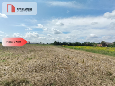 Pozostały już dwie działki z Mpzp1332m2 i 1335m2 - Kryniczno  -
Dolnośląskie Zdjęcie nr 13