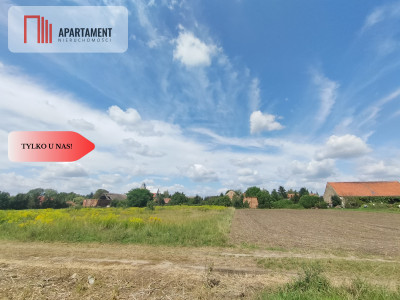 Pozostały już dwie działki z Mpzp1332m2 i 1335m2 - Kryniczno  -
Dolnośląskie Zdjęcie nr 8