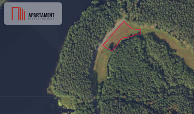 Działka z linią brzegową w Borach Tucholskich - Biała  -
Kujawsko-Pomorskie Zdjęcie nr 11