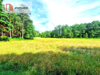 Działka z linią brzegową w Borach Tucholskich - Biała  - Kujawsko-Pomorskie