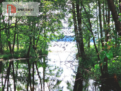Działka z linią brzegową w Borach Tucholskich - Biała  -
Kujawsko-Pomorskie Zdjęcie nr 9