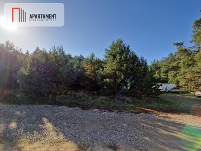 Działka budowlana z własnym lasem - Duszniki  -
Wielkopolskie Zdjęcie nr 3