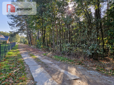 Działka budowlana z własnym lasem - Duszniki  -
Wielkopolskie Zdjęcie nr 4