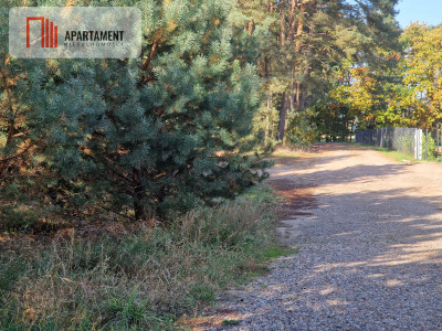 Działka budowlana z własnym lasem - Duszniki  -
Wielkopolskie Zdjęcie nr 5