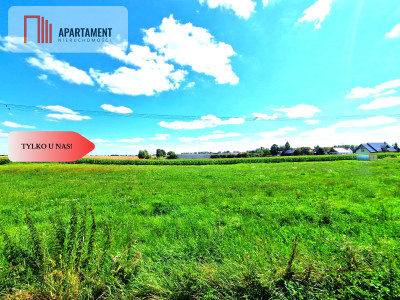 Tylko u Nas Działka  budowlana - Ostrowite  - Ostrowite  -
Pomorskie Zdjęcie nr 6