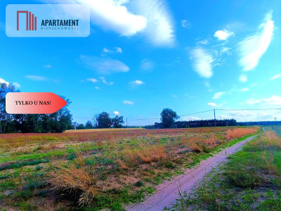ZŁAWIEŚ MAŁA 1002m2 CISZA SPOKÓJ SUPER LOKALIZACJA - Zławieś Mała  -
Kujawsko-Pomorskie Zdjęcie nr 11